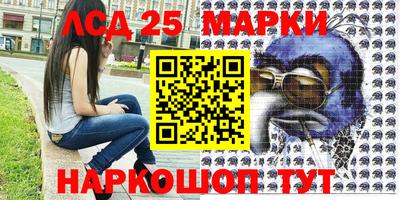 индика Моздок