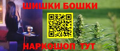индика Моздок