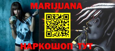 индика Моздок