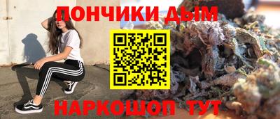 индика Моздок